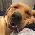 BEAU Johnston - @therealbeaujohnston - Instagram