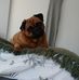 Beau Johnston - Facebook