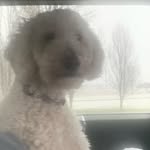 @beau___jones - Instagram