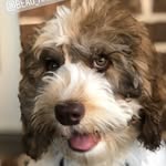 Beau Kane - @beau_kane19 - Instagram