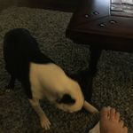 Beau Keith - @pcb8908 - Instagram