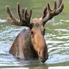 keith - @keith.beaudoin - TikTok
