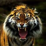 Beau Keller - Facebook