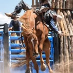 Beau Kelley - @beau_kelley3 - Instagram