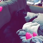 Beau Kellogg - @beau.kellogg - Instagram