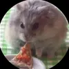 beau kent59 - @beau.kent59 - TikTok