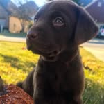 Beau Kent - @beau.kent - Instagram