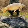 Kent fishing - @beau_kent.fishing - TikTok