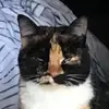 Kentin.LaBeau - @kentin.labeau - TikTok