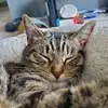keybeau - @keybeau - TikTok