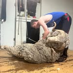 Beau Kline - @beaukline035 - Instagram