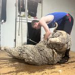 Beau Kline - Facebook