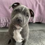 Beau - @_beauknowles - Instagram