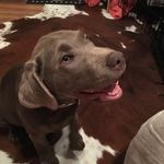 Beau Lambert - @beaulambert - Instagram