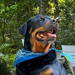 Beau Lambert - @shulasgoldchain - Instagram