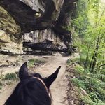 Beau Lambert - @banjobeau - Instagram