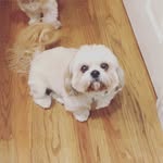 beau larson - @beaularz - Instagram