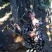 Beau Larson - Facebook