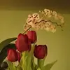 beaulayne2 - @beaulayne2 - TikTok