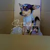Leonardo_beau_boy - @leonardo_beau_boy - TikTok