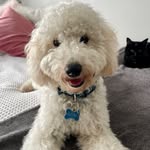 Beau lowe - @beaulowe_ - Instagram