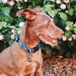 Beau Lowery - @beau_lowery - Instagram