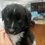 Beau Lowery - Facebook