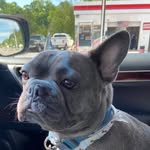 Beau MacDougall Greenwald - @__beau___macdougall__ - Instagram