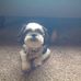 Christina MacDougall Beaulieu - Facebook