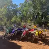 Beau McGregor - @beau.mcgregor - TikTok