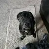 Beaumadden71 - @beaumadden71 - TikTok