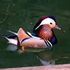 manleybeau805 - @manleybeau805 - TikTok
