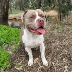 Beau Manning - @lawrencenevil8 - Instagram