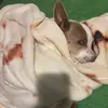 Beau Martinez - @beau.martinez - TikTok