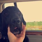 Beau Maxwell - @beau_maxwell - Instagram