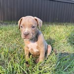 Beau Maxwell - @beau_beau_1002 - Instagram