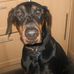 Beau Maynard - Facebook
