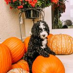 Finley Beau Maynard - @finley.maynard - Instagram