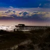 Beau Mcbride - @life.of.quotes1 - TikTok