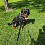 Beau McGrath - @beaumcgrath2009 - Instagram