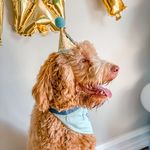 Beau Mckee - @dood_its.beau - Instagram