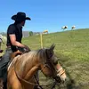 Beaux McLaughlin - @beaux.boy - TikTok