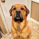 Beau Mclean - @beau.mclean.52 - Instagram