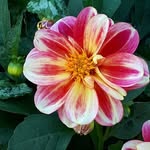 Beauty At The Meadows - @beauty_at_the_meadows - Instagram