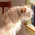 Beau Merrill - @beausaysstuff - Instagram