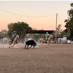 Beau middleton - @beaumiddleton19 - Instagram