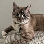 Beau Miles - @kitty.beau.miles - Instagram