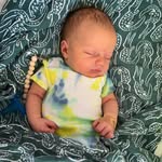 Beau Miles George 🐻 - @beaudetwiler - Instagram