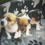 Beau Miller - Facebook