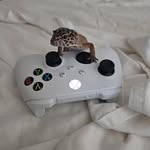 Beau Miller - @beaumiller513 - Instagram